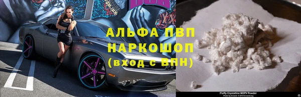 PSILOCYBIN Бугульма