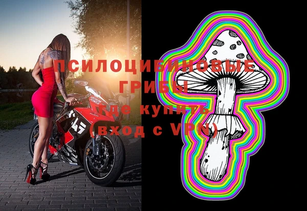 PSILOCYBIN Бугульма